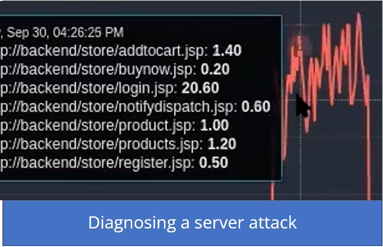 diagnosing a server attack